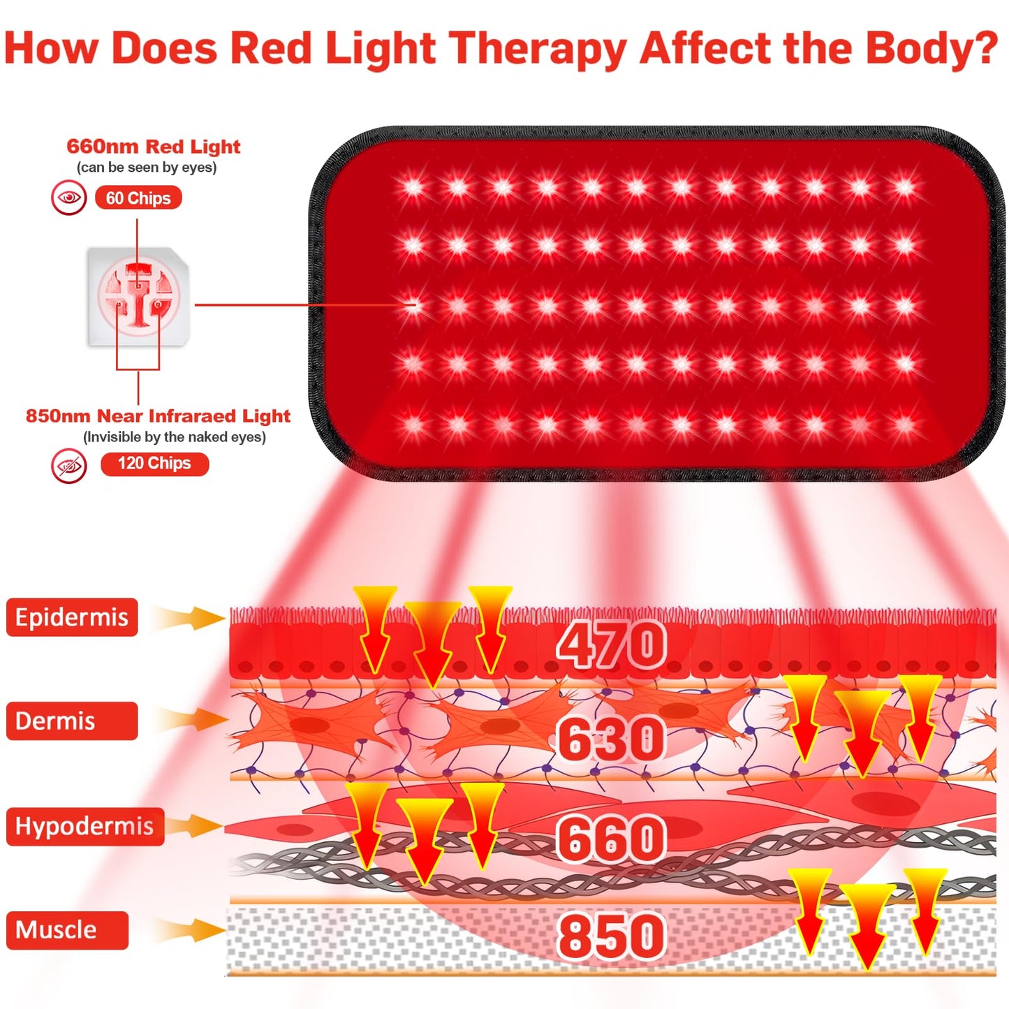 Red Light Therapy Belt with Timer, 60 LEDs, 660nm & 850nm, Wearable Wrap for Back, Waist, Neck, 5.7x12.4 inches