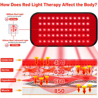 Red Light Therapy Belt with Timer, 60 LEDs, 660nm & 850nm, Wearable Wrap for Back, Waist, Neck, 5.7x12.4 inches