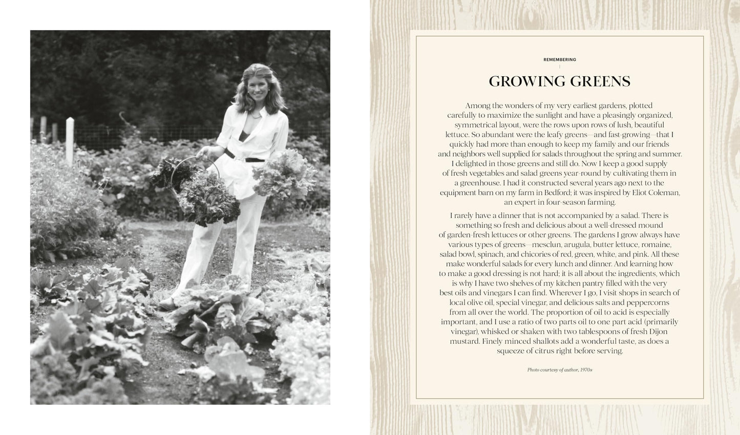 Martha: The Cookbook: 100 Favorite Recipes, with Lessons and Stories from My Kitchen 
