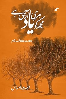 Mujhko Meri Yaad Aa Rahi Hai (Urdu) - Farhat Ahsas