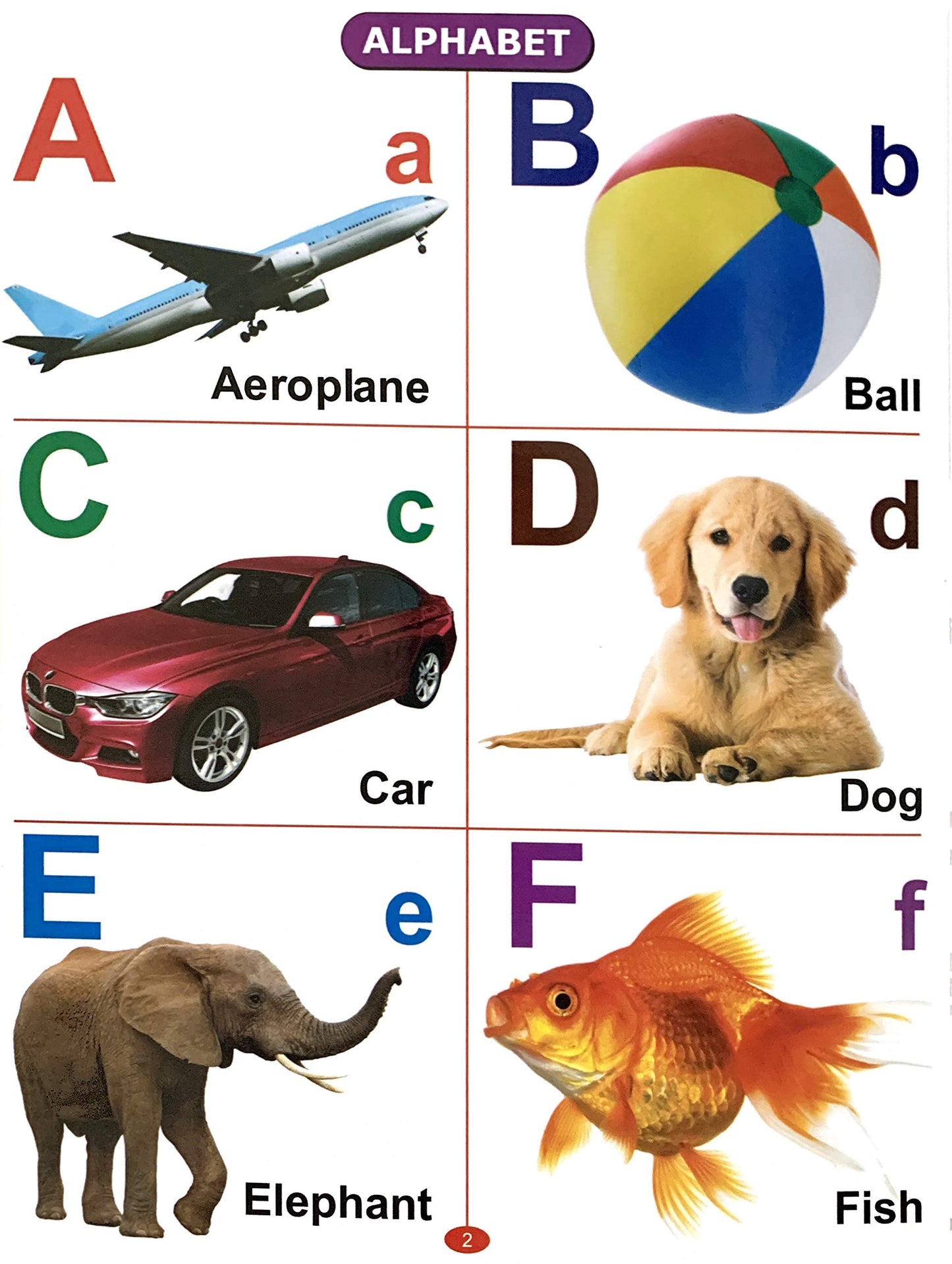 All In One Picture Book (For Ages 1-4)