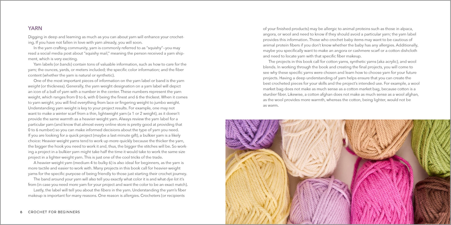 Crochet for Beginners: A Stitch Dictionary with Step-by-Step Illustrations and 10 Easy Projects 