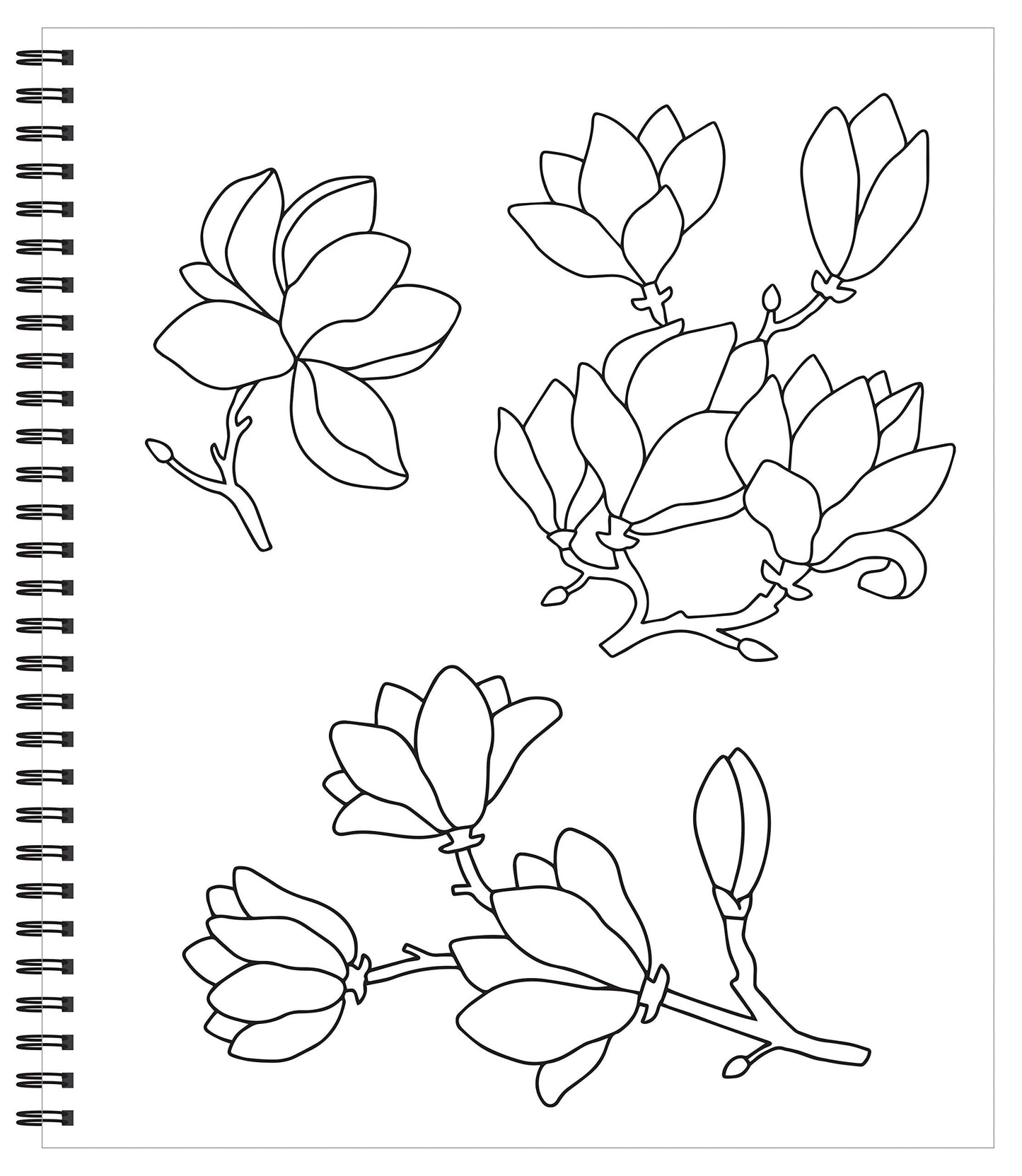 Large Print Easy Color & Frame - Calm (Stress Free Coloring Book)