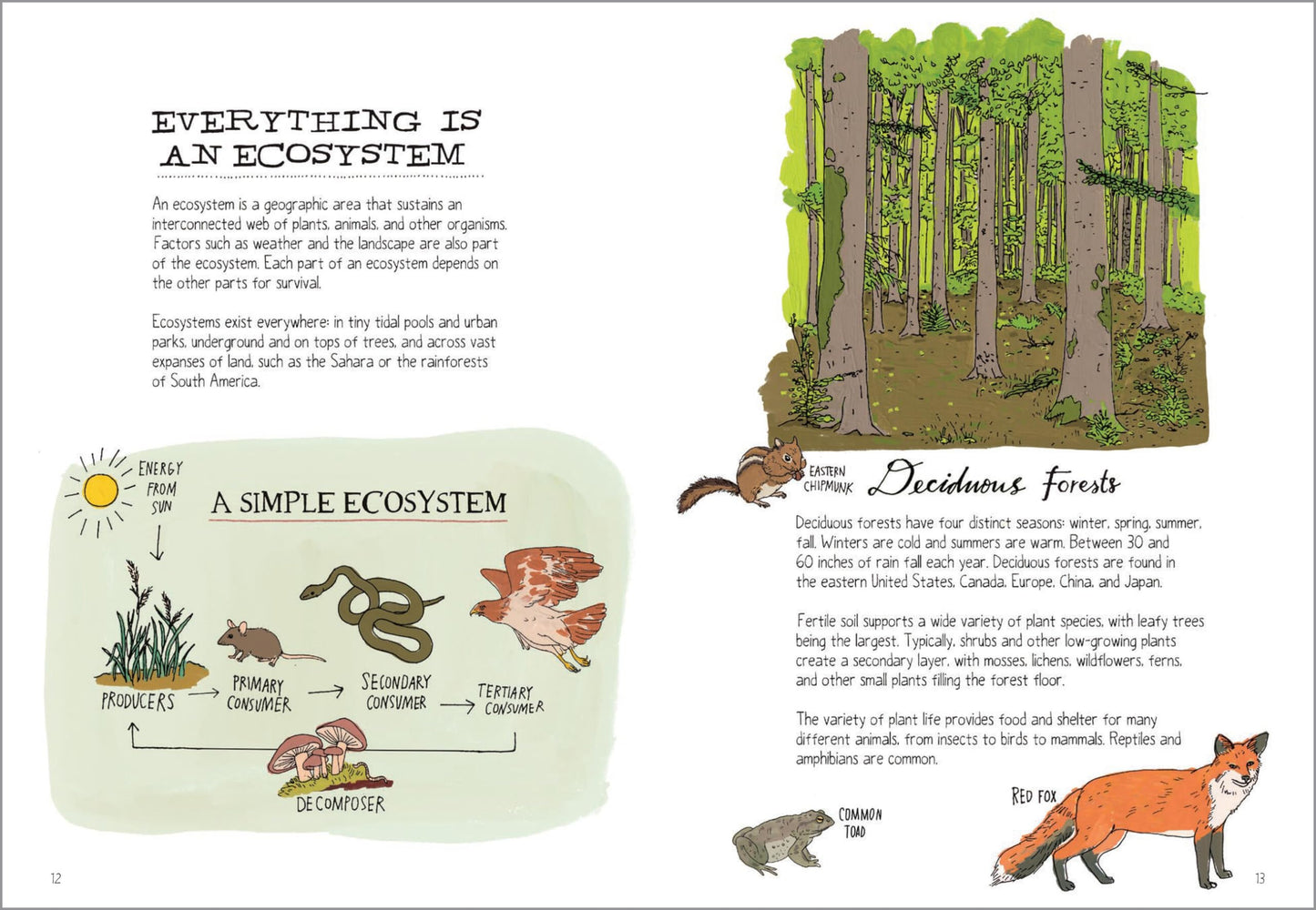 Wildlife Anatomy: The Curious Lives & Features of Wild Animals around the World 
