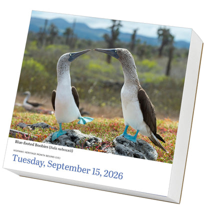 Audubon Birds Page-A-Day® Calendar 2026: The World's Favorite Bird Calendar