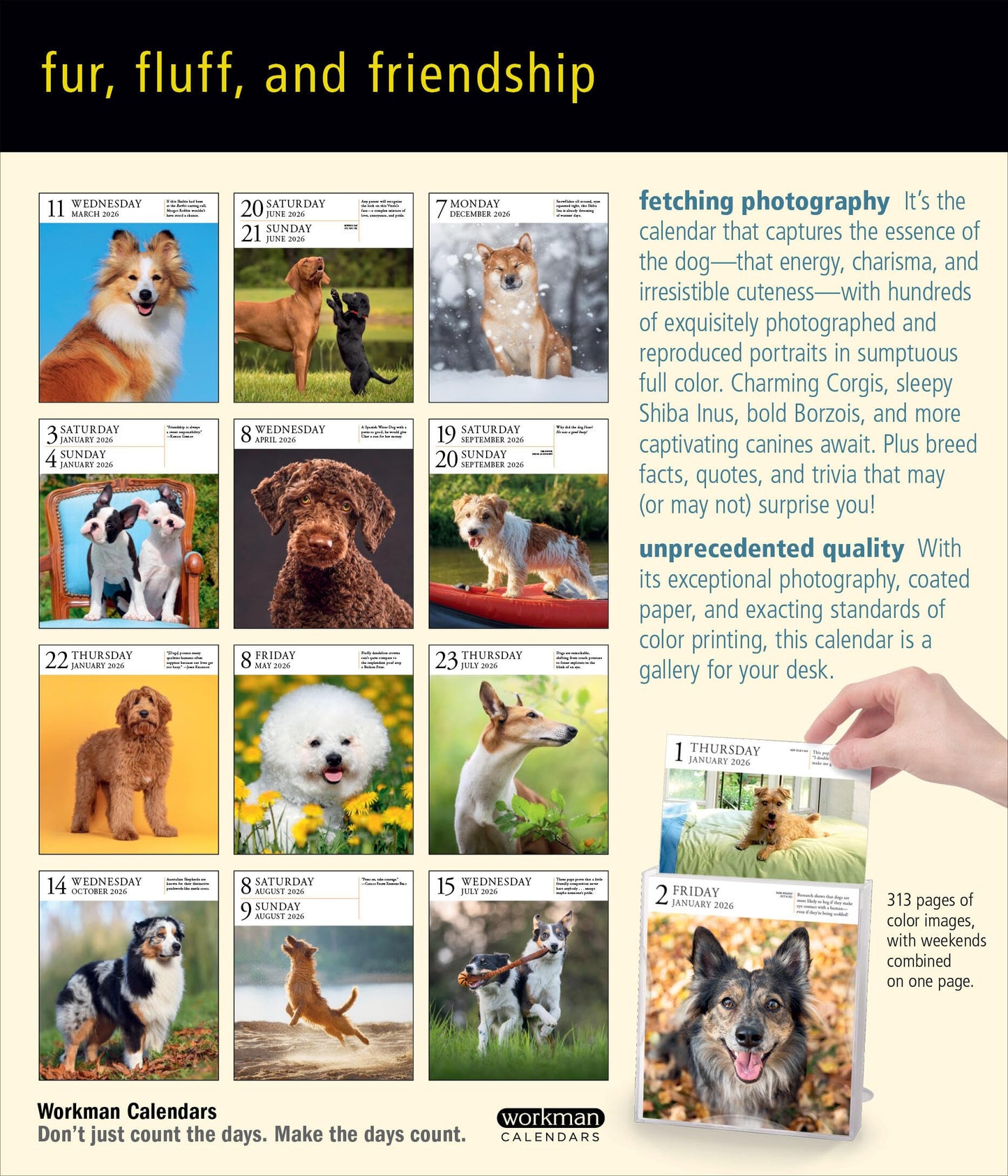 Dog Page-A-Day® Gallery Calendar 2026: An Elegant Canine Celebration 