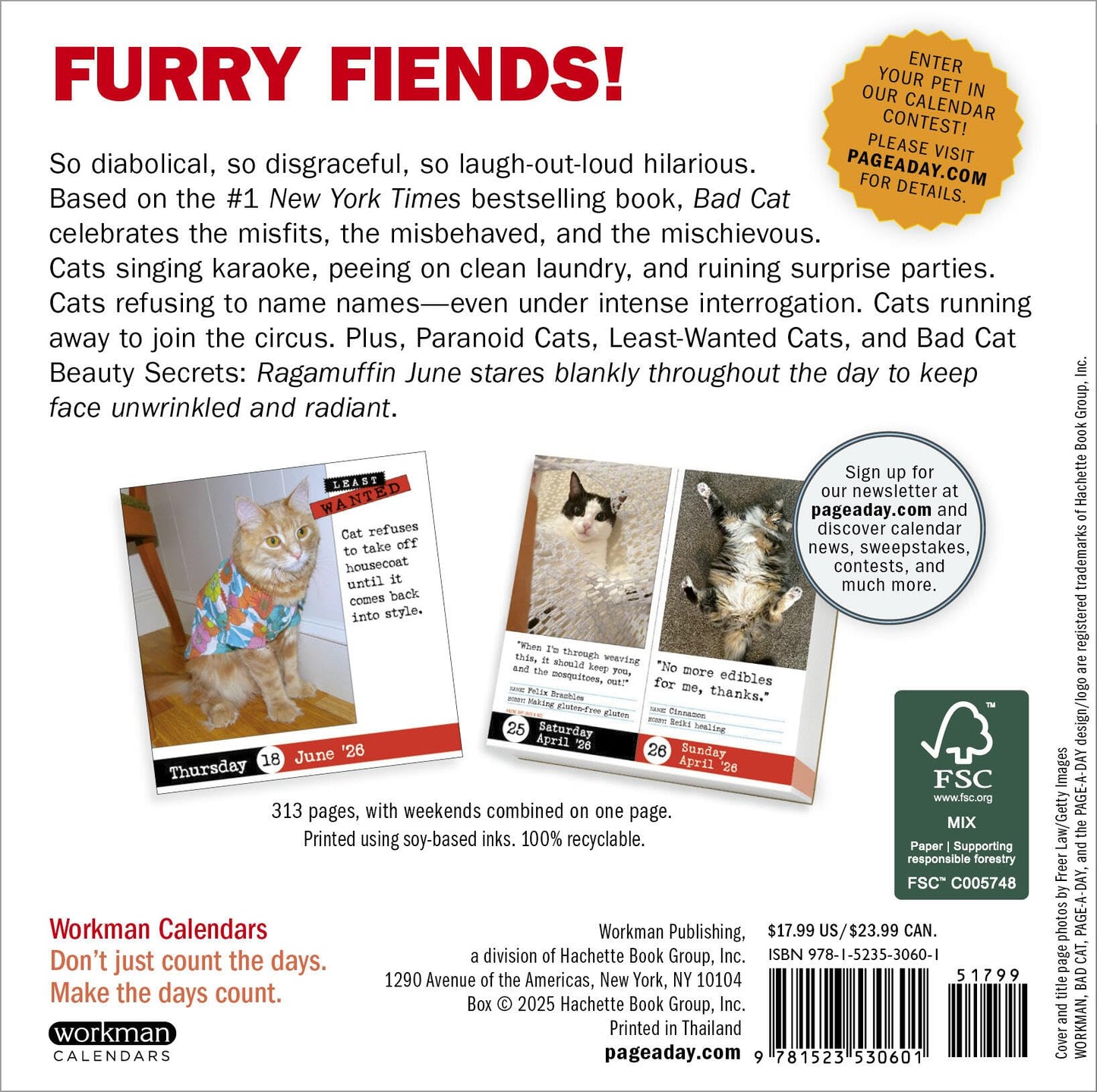 Bad Cat Page-A-Day® Calendar 2026: 365 Not-So-Pretty Kitties