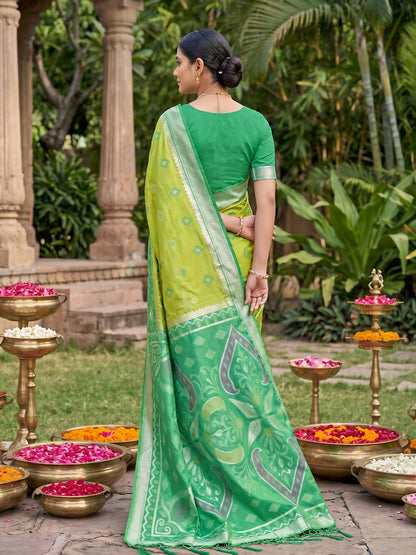 Shree Shyam Fashion Light Green Soft Silk Saree