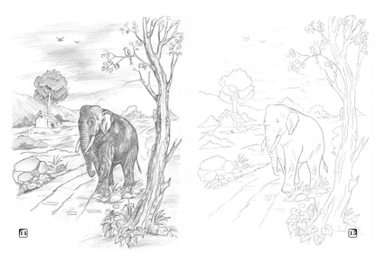 Scholars Hub My Book Of Pencil Shading For Kids (Set Of 5 Books) | 200 Pages | Landscape 1, Landscape 2, Birds And Animals, Potraits & Sketching.