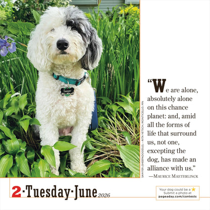 365 Dogs Page-A-Day® Calendar 2026: The World's Favorite Dog Calendar 