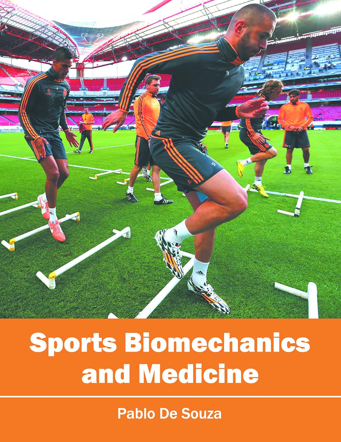 Sports Biomechanics And Medicine by Pablo De Souza,