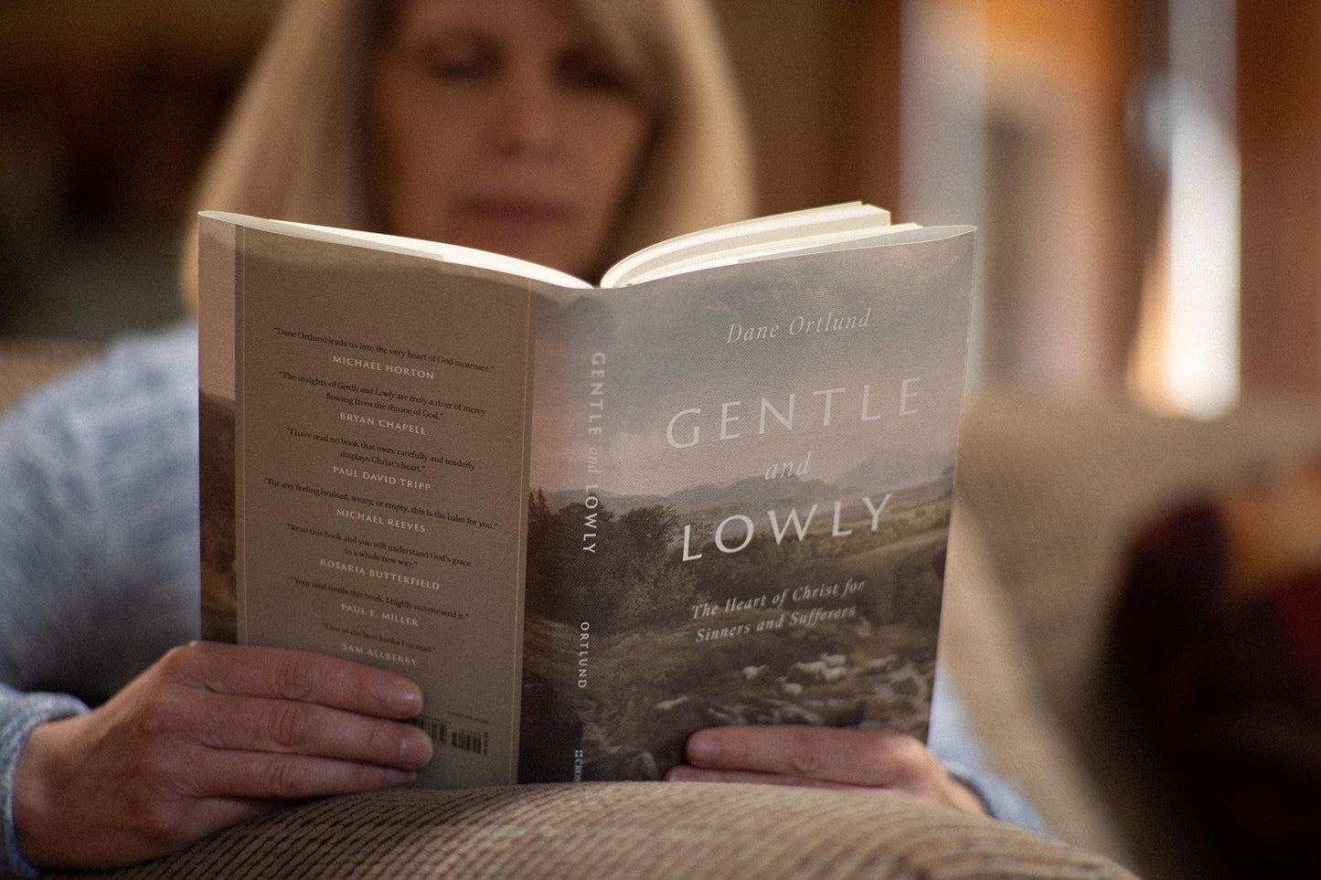 Gentle and Lowly: The Heart of Christ for Sinners and Sufferers 