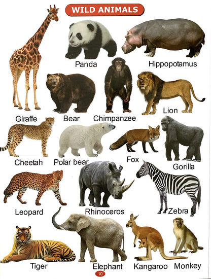All In One Picture Book (For Ages 1-4)