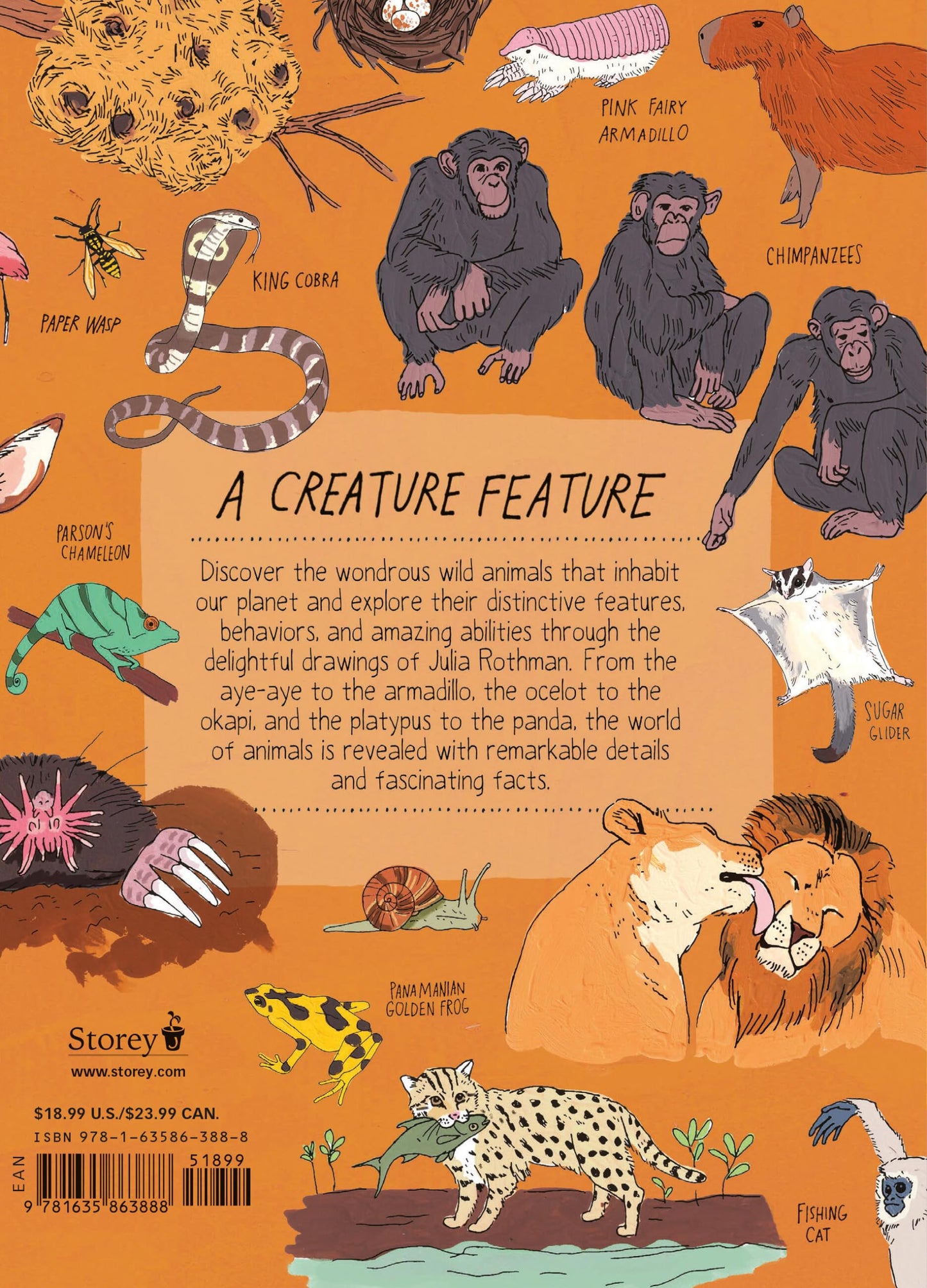 Wildlife Anatomy: The Curious Lives & Features of Wild Animals around the World 