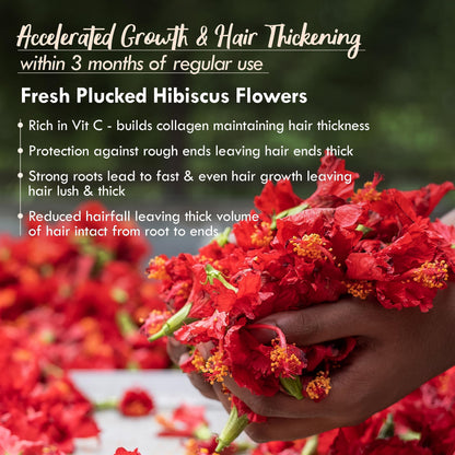 Hibiscus NutriMask Hair Growth & Conditioning Pack (2x40g)