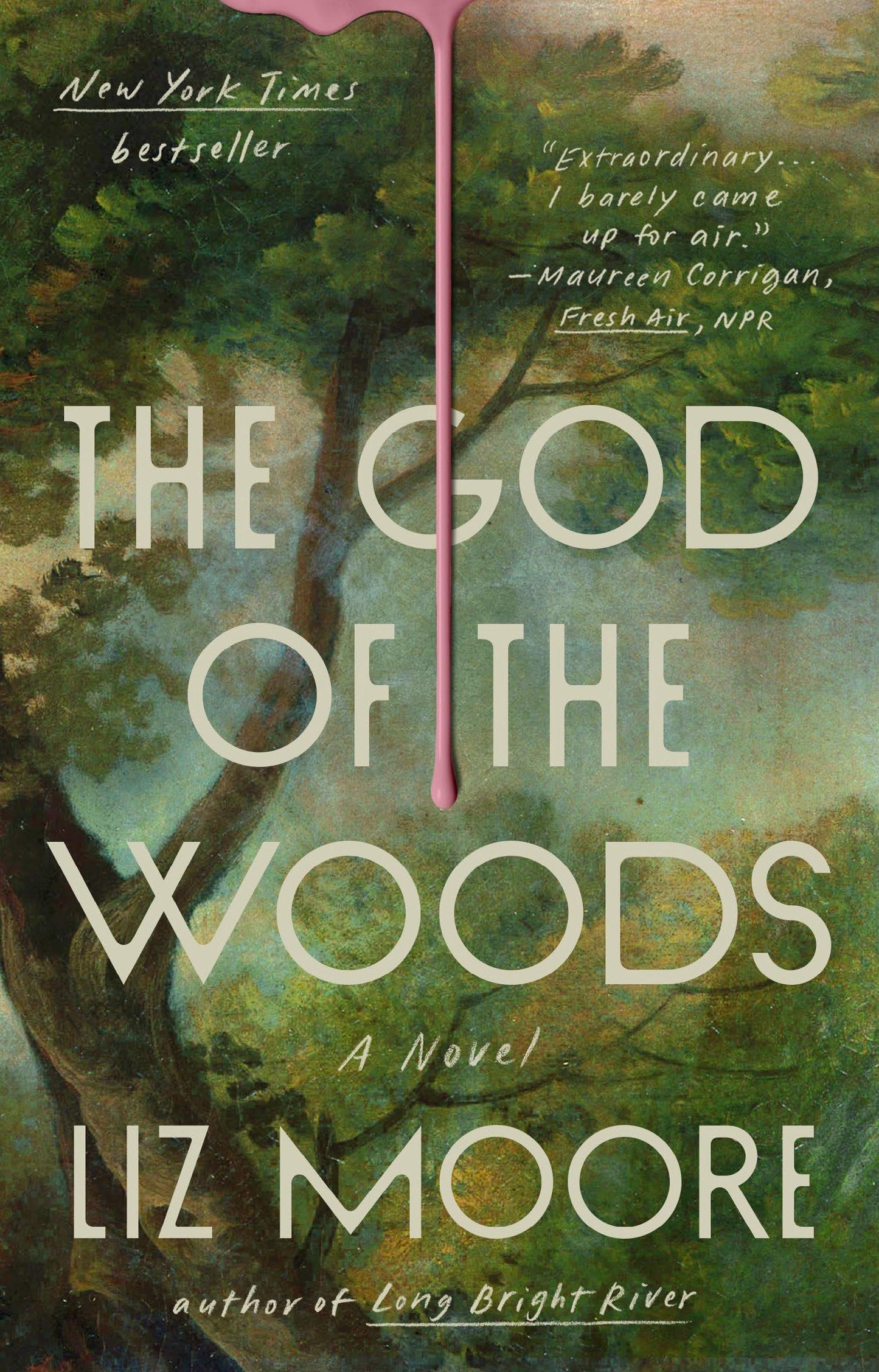 The God of the Woods: A Novel 
