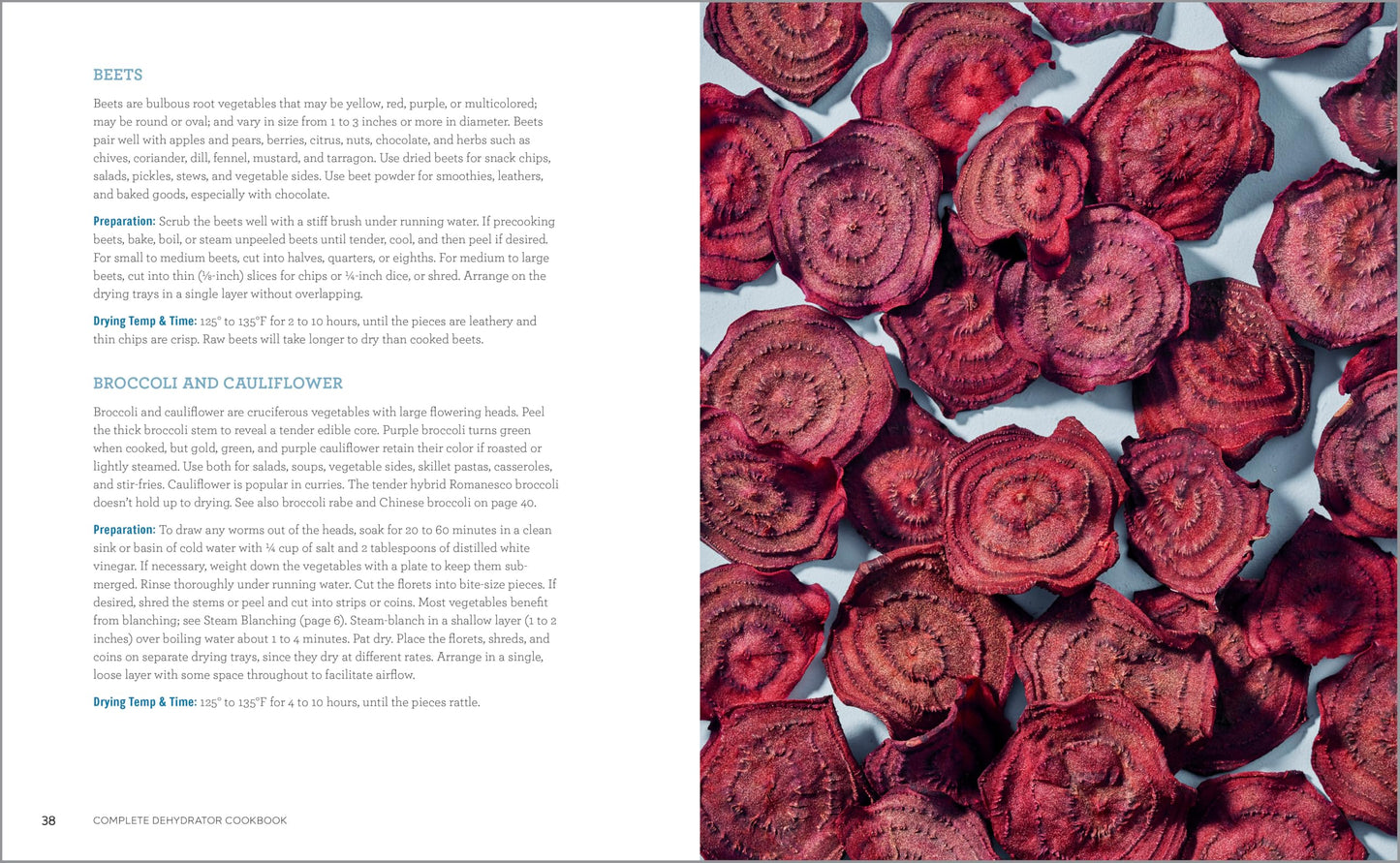 Complete Dehydrator Cookbook: How to Dehydrate Fruit, Vegetables, Meat & More 