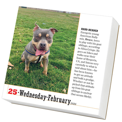 365 Dogs Page-A-Day® Calendar 2026: The World's Favorite Dog Calendar 