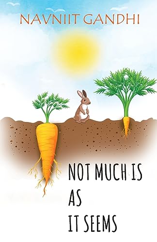 Not Much Is As It Seems-Navniit Gandhi