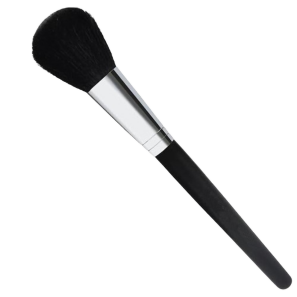 Bronson Professional Blush Brush