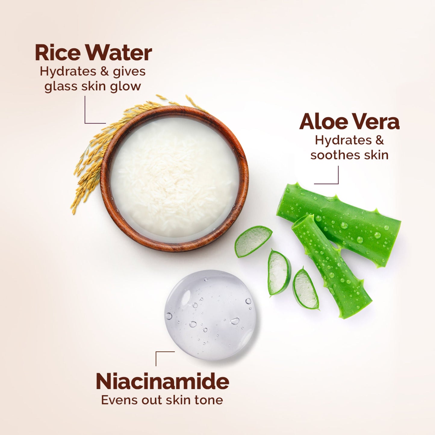 Mamaearth Rice Oil-Free Face Moisturizer For Oily Skin