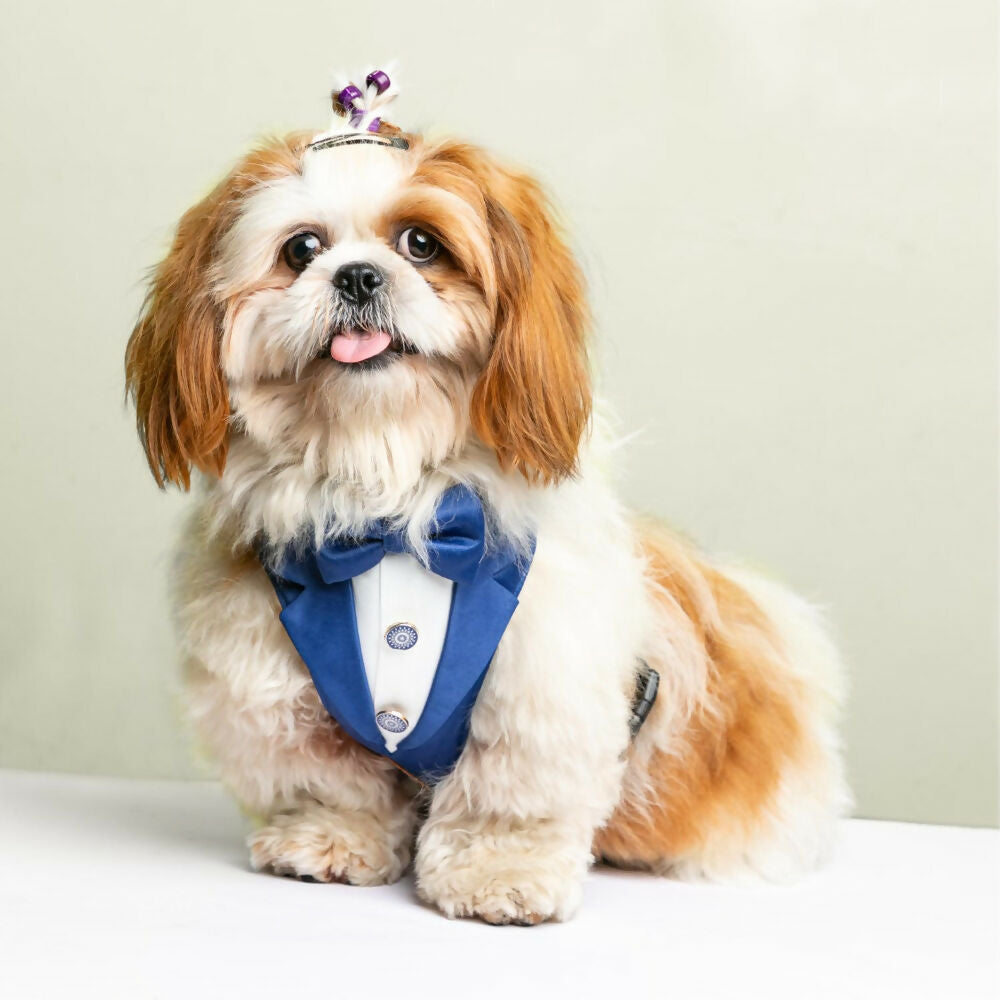 Waggety Tuxedo Dog Harness - Stylish Blue & White Design, Adjustable Fit, Durable Fabric, Elegant Pet Harness for Dogs