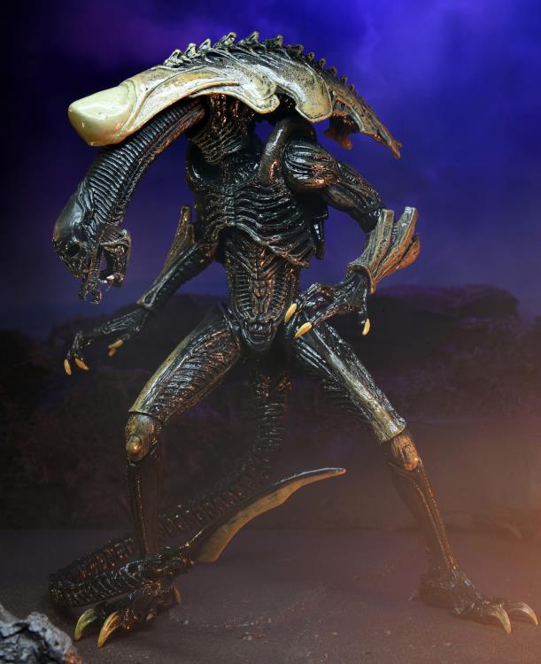 NECA Alien vs. Predator (Movie Deco): Chrysalis Alien Action Figure
