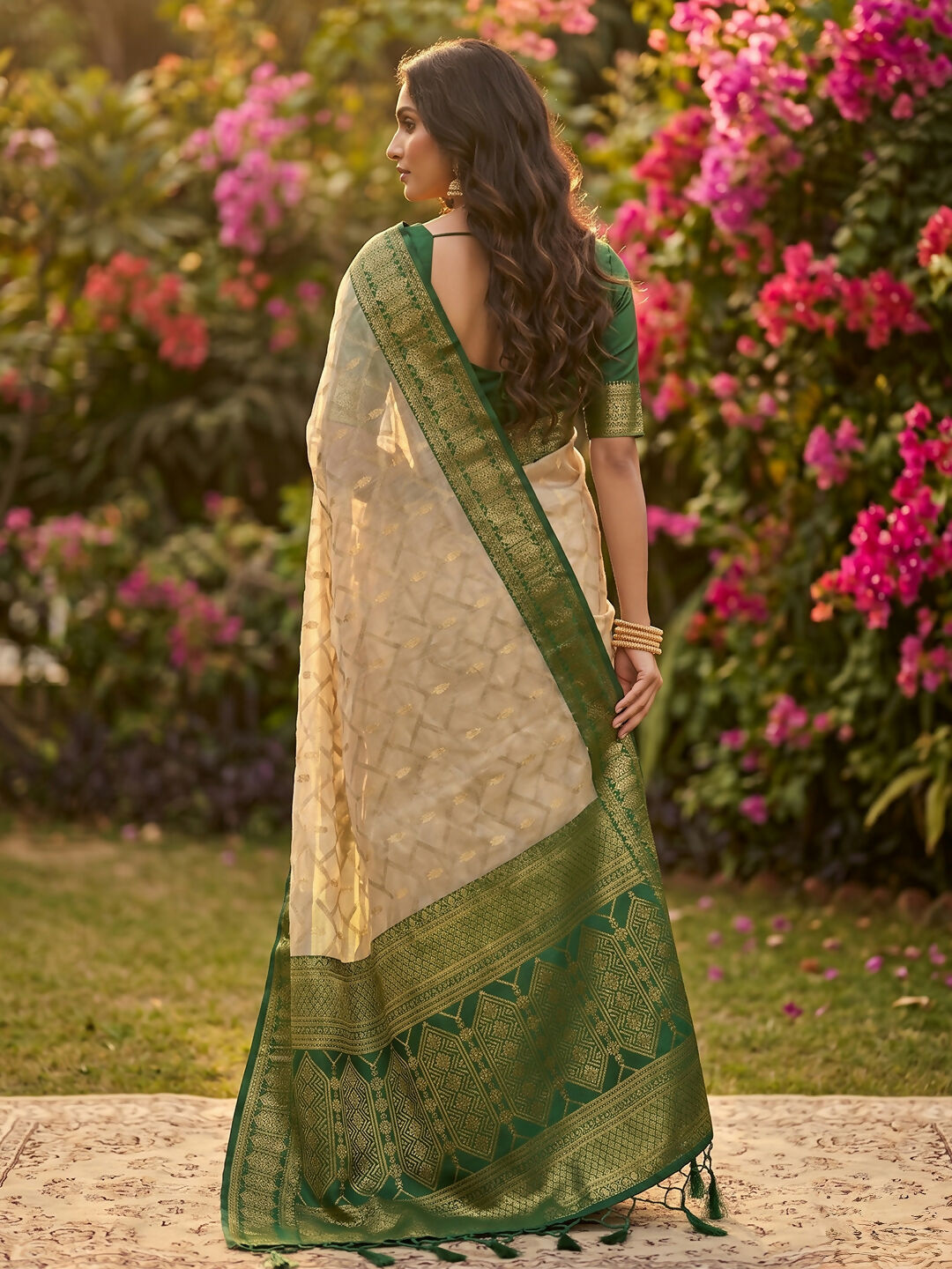 Shree Shyam Fashion Chiku With Green Cotton Saree