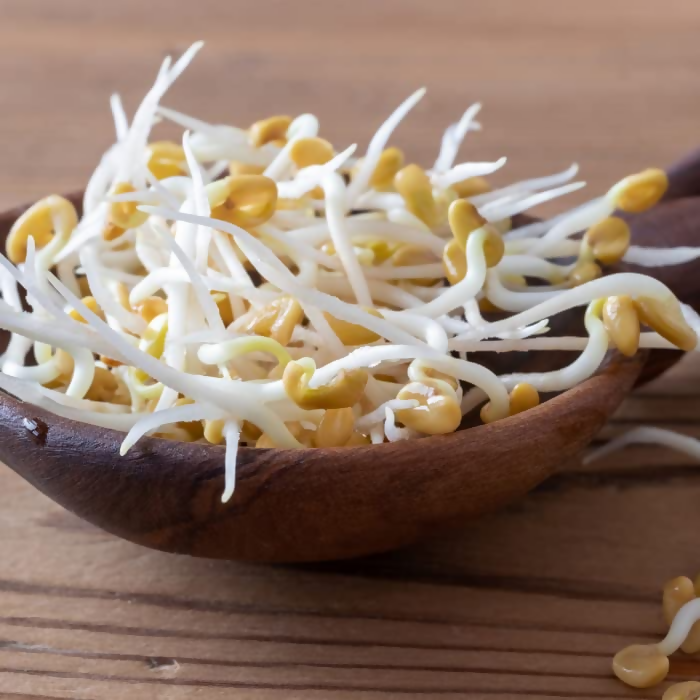 Village-Organica Methi Dana-Whole Fenugreek Seeds