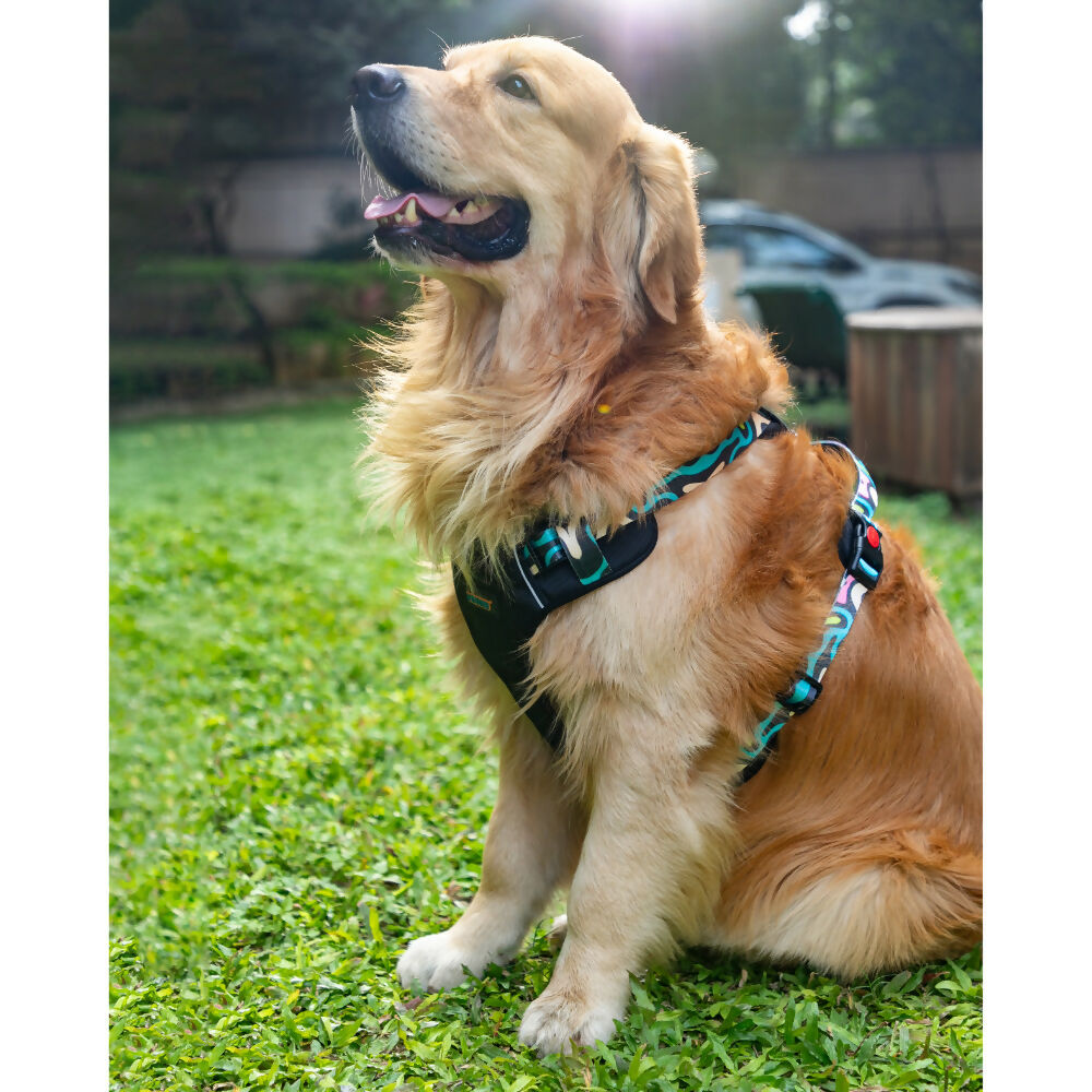 Waggety Adjustable Full Body Dog Harness - Comfortable Fit, Lightweight Polyester, Black