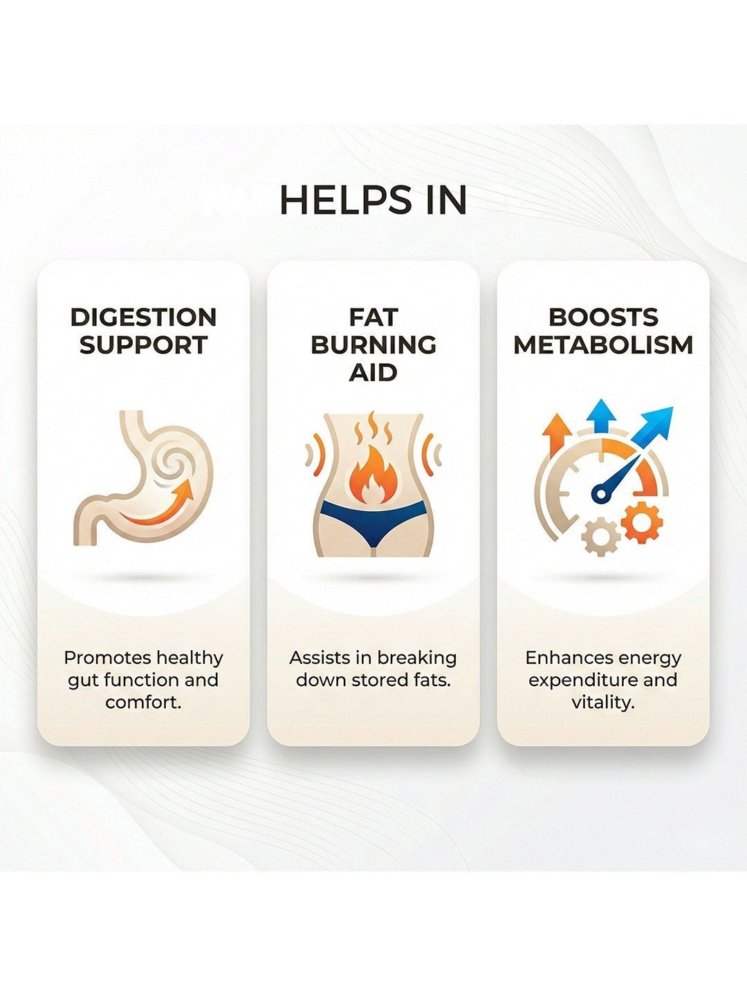 Ved Sanjeevani Digestion & Detox Nabhi Oil