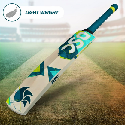 DSC Belter Wood Kashmir Willow Cricket Bat