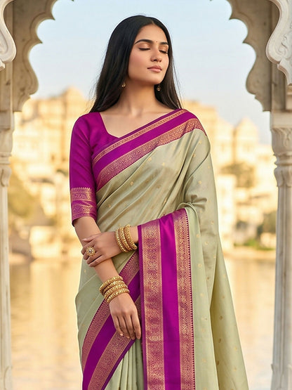 Shree Shyam Fashion Chiku Silk Blend Saree