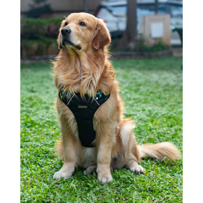 Waggety Adjustable Full Body Dog Harness - Comfortable Fit, Lightweight Polyester, Black