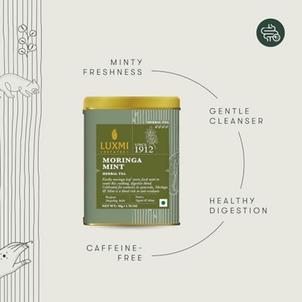Luxmi Estates Moringa Mint Herbal Infusion