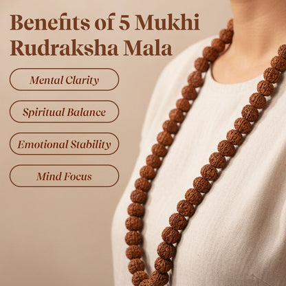 Pujashree Rudraksh Mala Large  Traditional Prayer Mala for Spiritual Healing, Chanting & Devotion