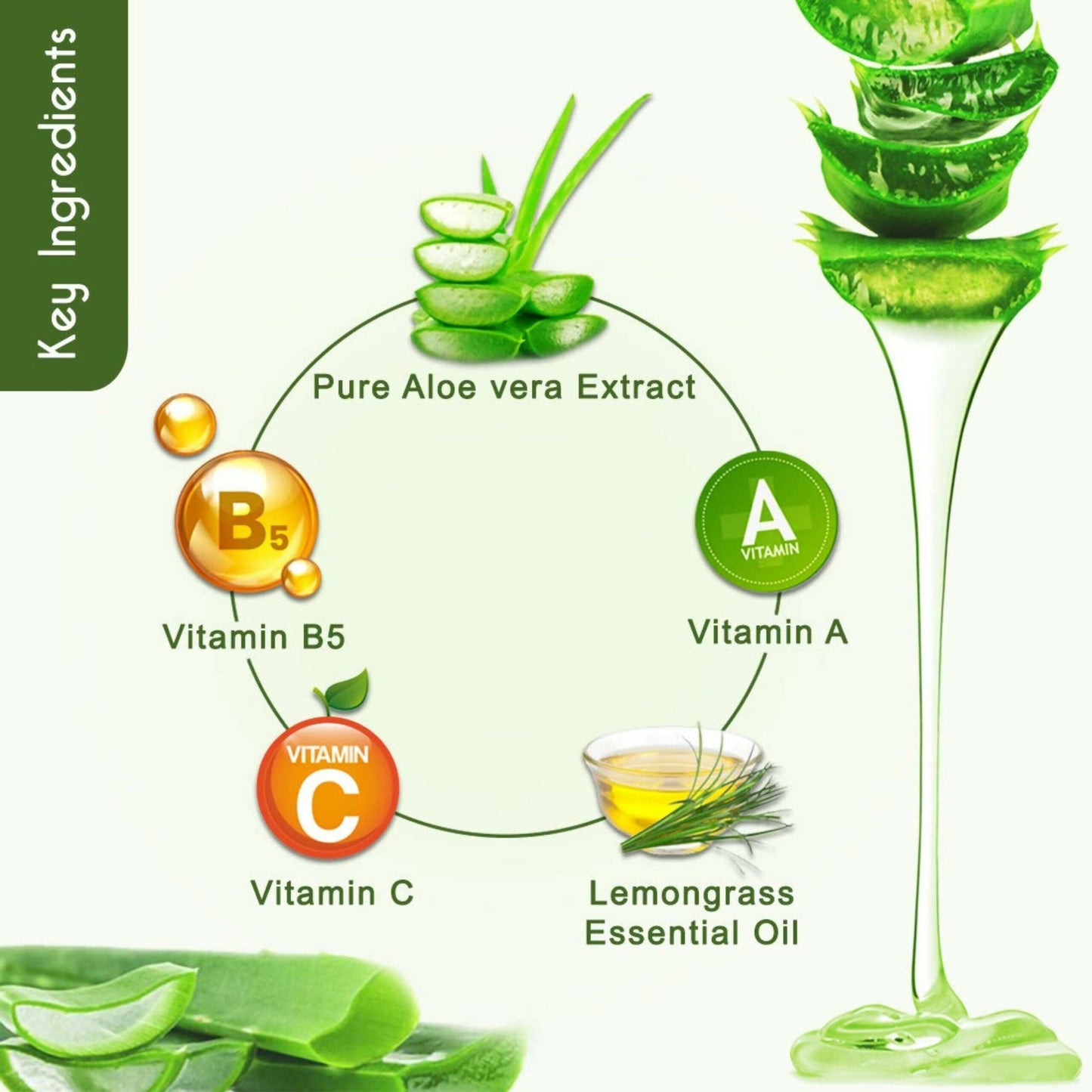 Dravida Organics Aloe Vera Revitalizing Night Cream