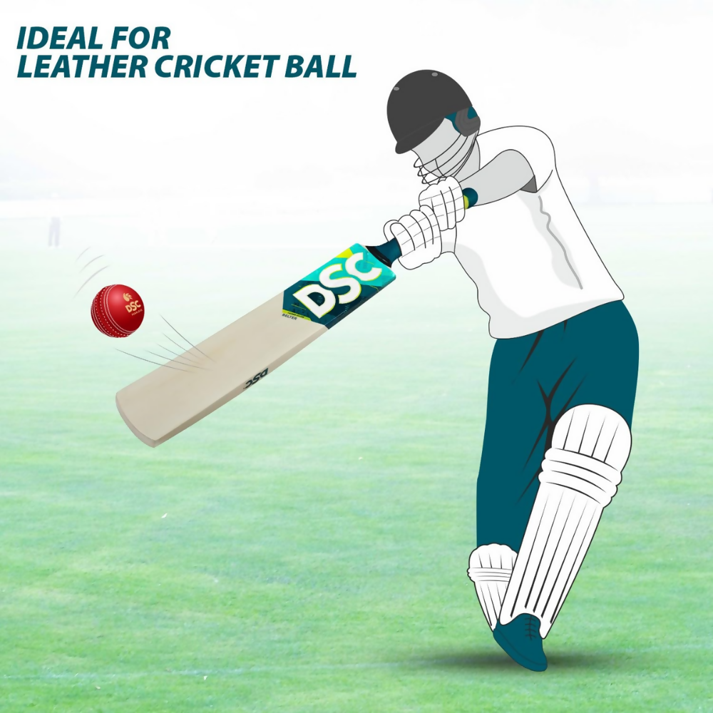 DSC Belter Wood Kashmir Willow Cricket Bat