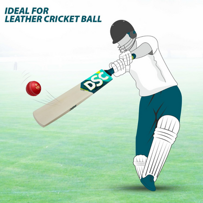 DSC Belter Wood Kashmir Willow Cricket Bat