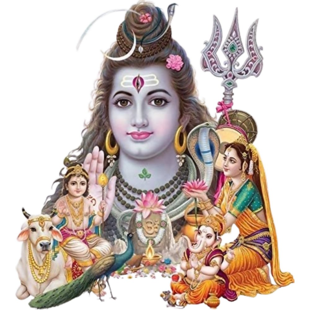Rangoli Vinyl Religious Wall Sticker Multicolour