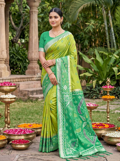 Shree Shyam Fashion Light Green Soft Silk Saree