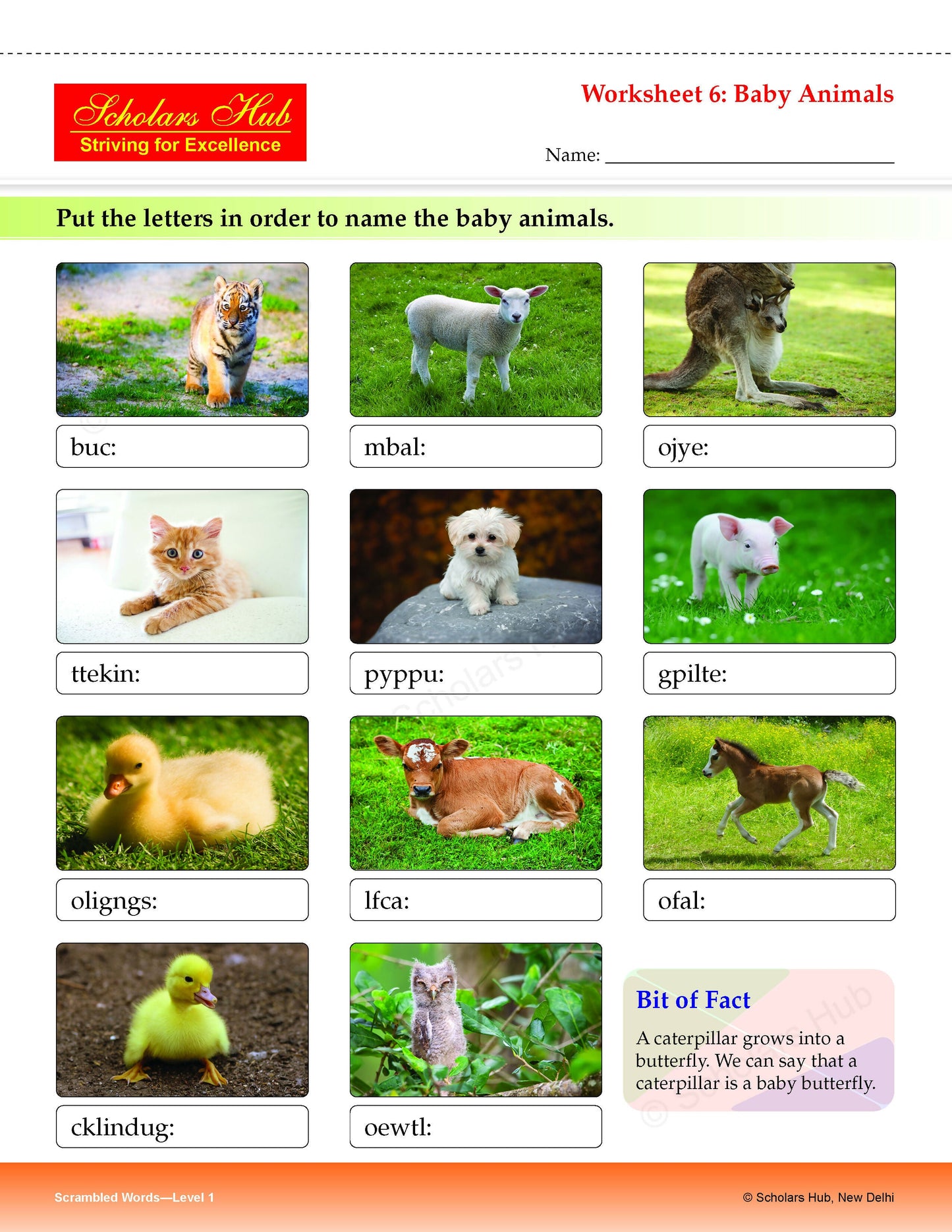 Step By Step Skills Scrambled Words-1(Tearble Colourful Worksheets)