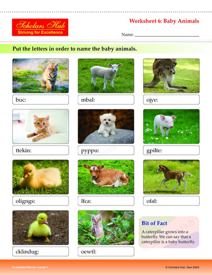 Step By Step Skills Scrambled Words-1(Tearble Colourful Worksheets)