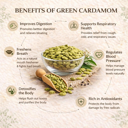 Village-Organica Green Cardamom (Elaichi) Whole  Handpicked