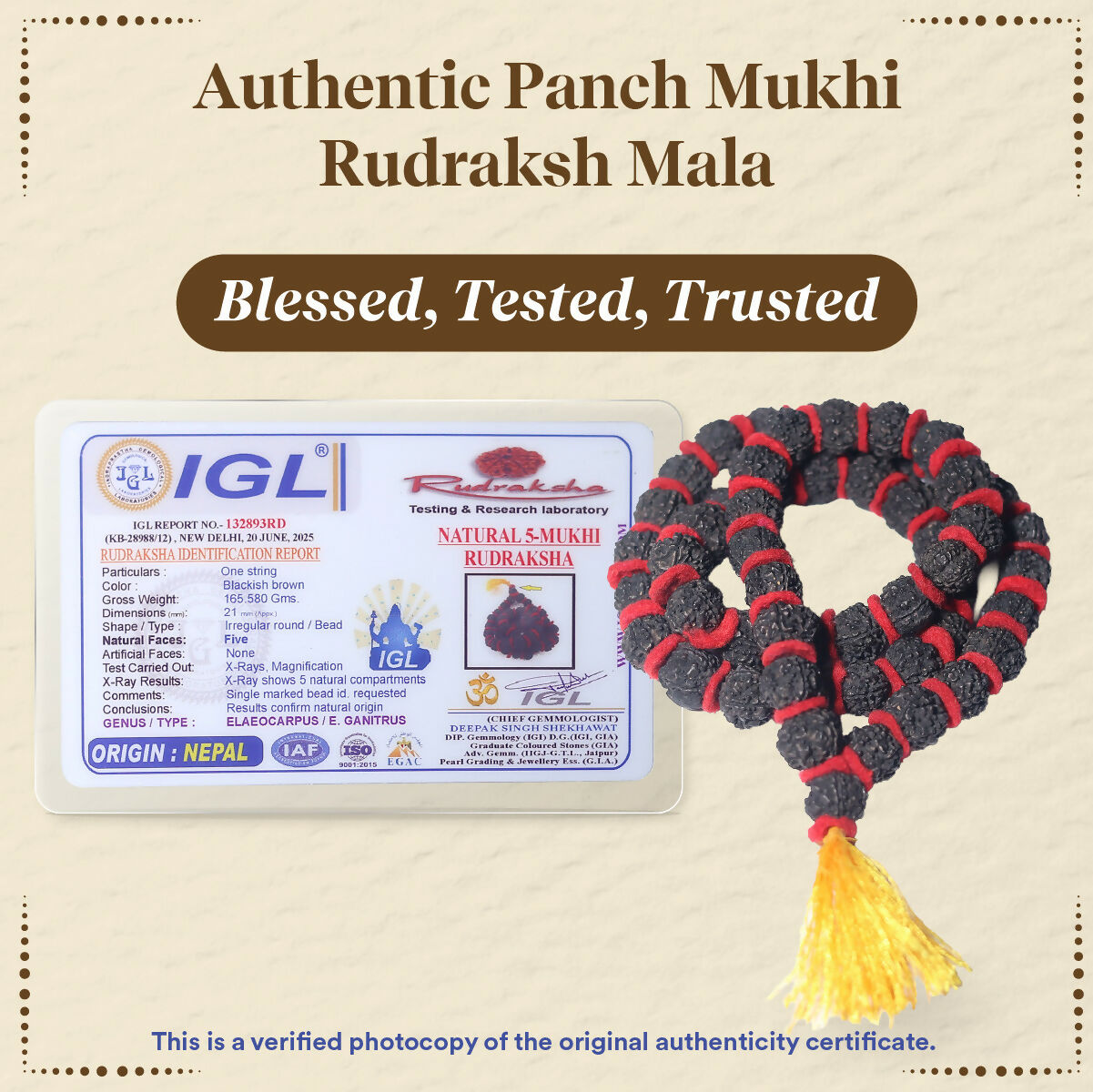 Pujashree Rudraksh Mala Large  Traditional Prayer Mala for Spiritual Healing, Chanting & Devotion