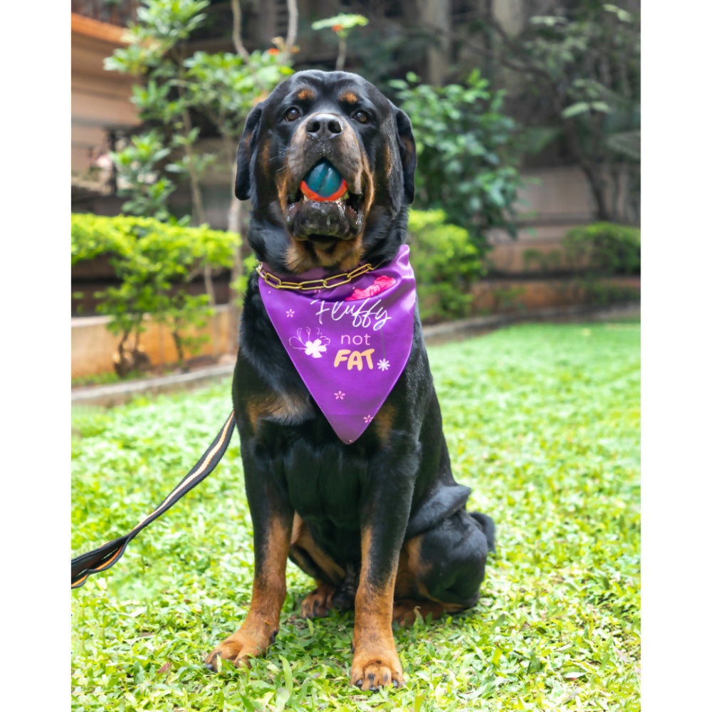 Waggety Dog Bandana - Fluffy Not Fat, Design Soft Fabric, Stylish Pet Accessory for Dogs - Purple