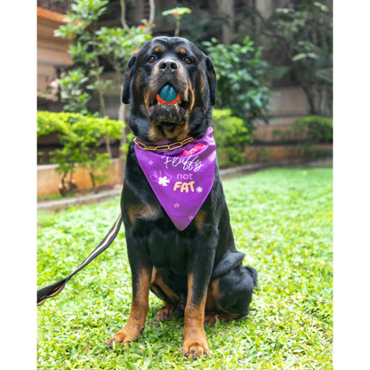 Waggety Dog Bandana - Fluffy Not Fat, Design Soft Fabric, Stylish Pet Accessory for Dogs - Purple