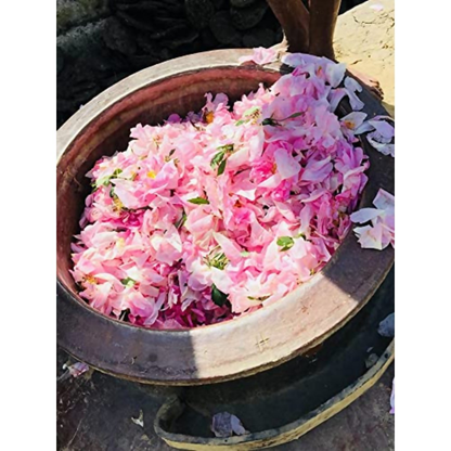 Nawab's Secret Natural Rose Water