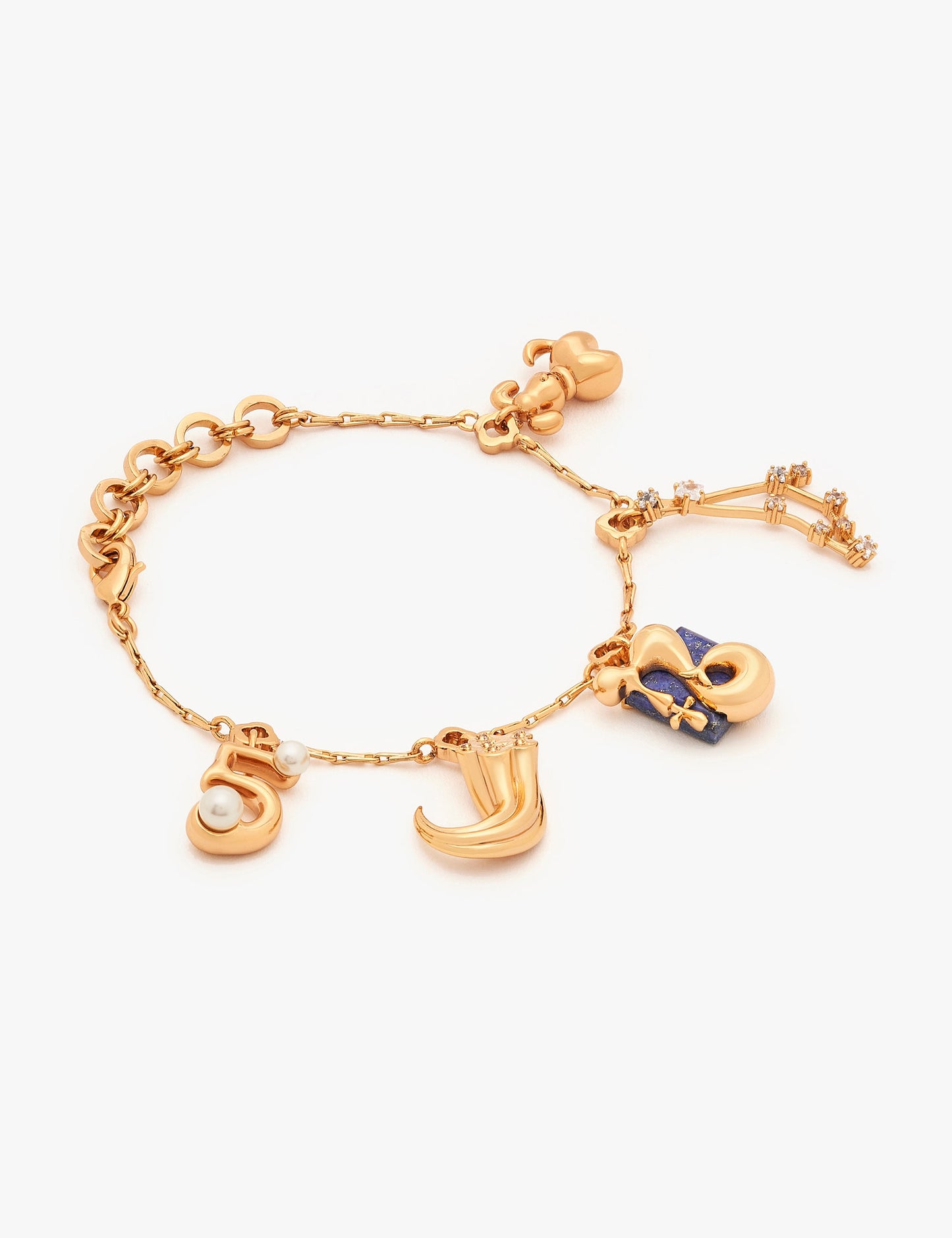The Zodiac Series - Capricorn Charm Bracelet