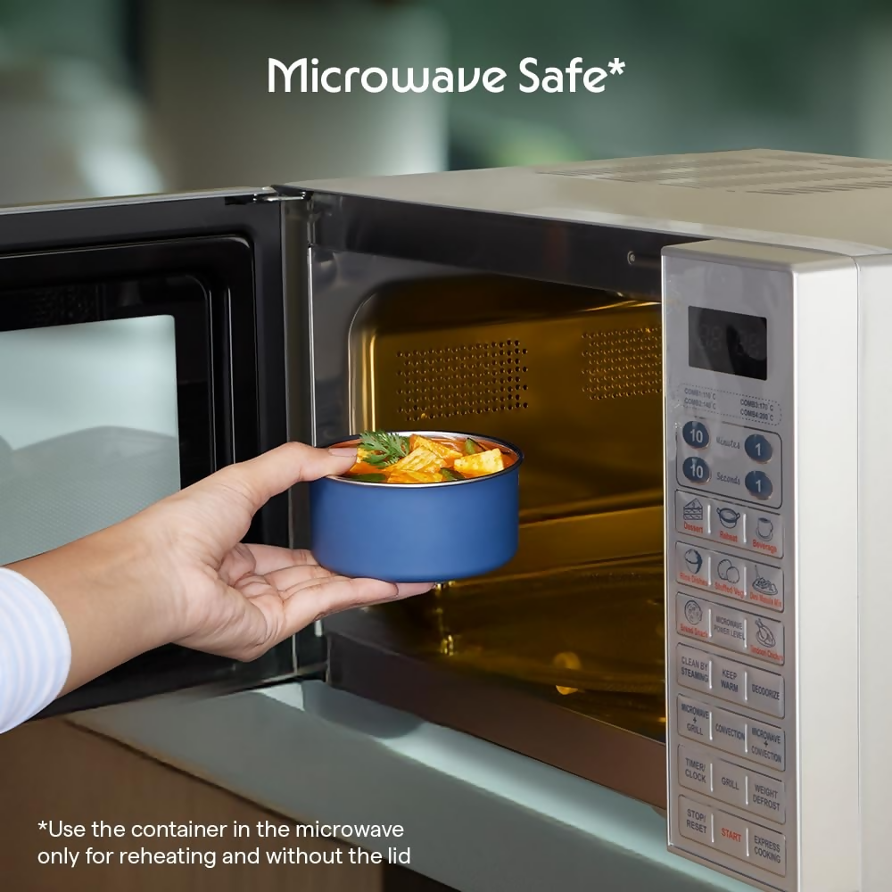 Borosil Carrymore Microwavable Stainless Steel Lunchbox with Bag